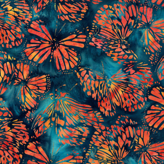 Monarch Migration / Butterflies in Monarch