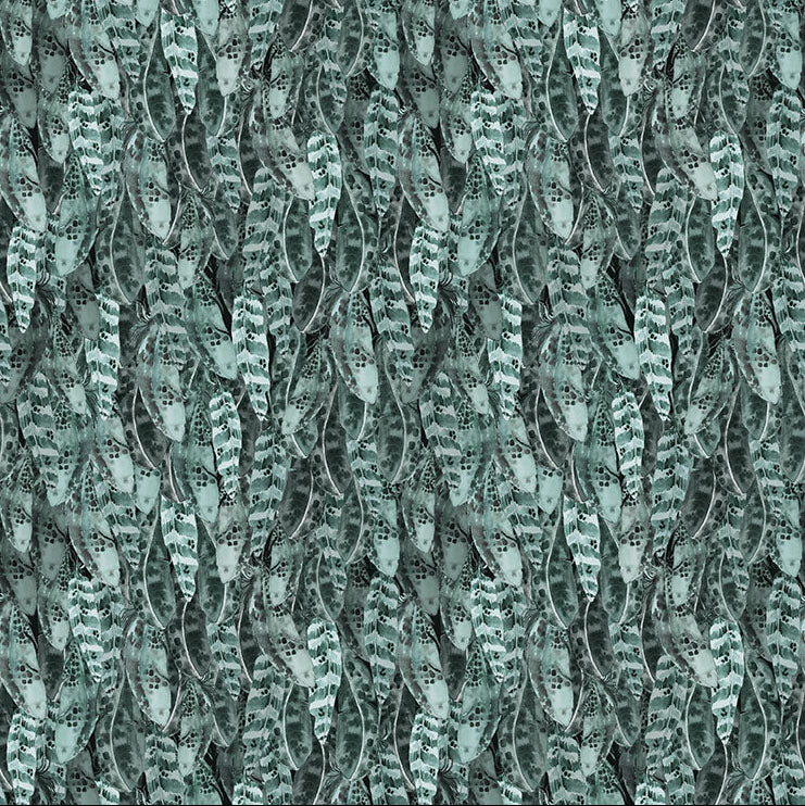 Night Whispers / Feathers in Teal