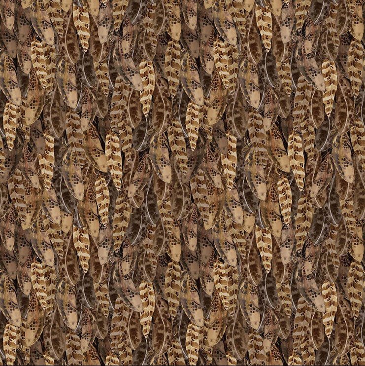 Night Whispers / Feathers in Dark Caramel