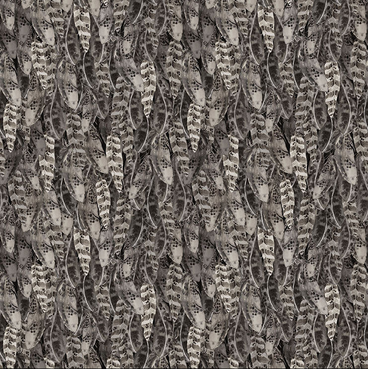 Night Whispers / Feathers in Dark Gray
