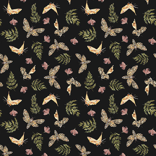 Night Whispers / Moths in Black