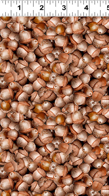 The Secret Life of Squirrels IV / Acorns in Light Brown
