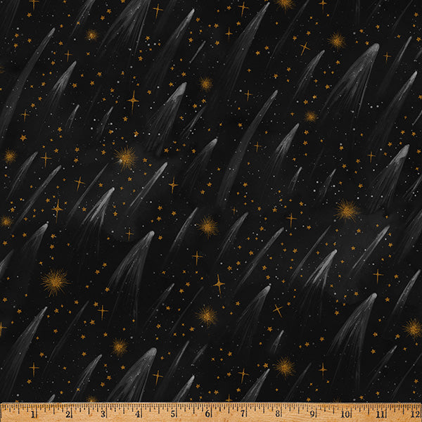 Wish Upon the Night / Shooting Stars in Black