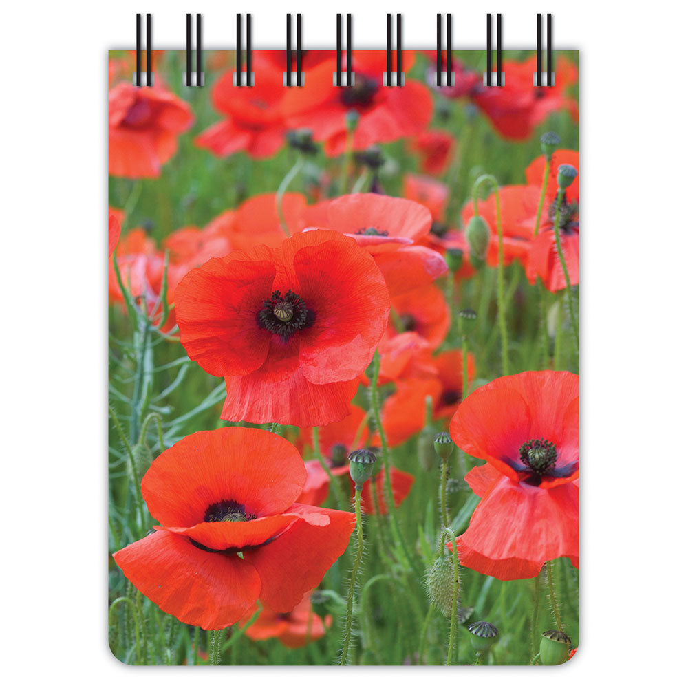 Field Poppy Notebook