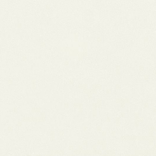 Quilting Cuddle® Solid / Off White