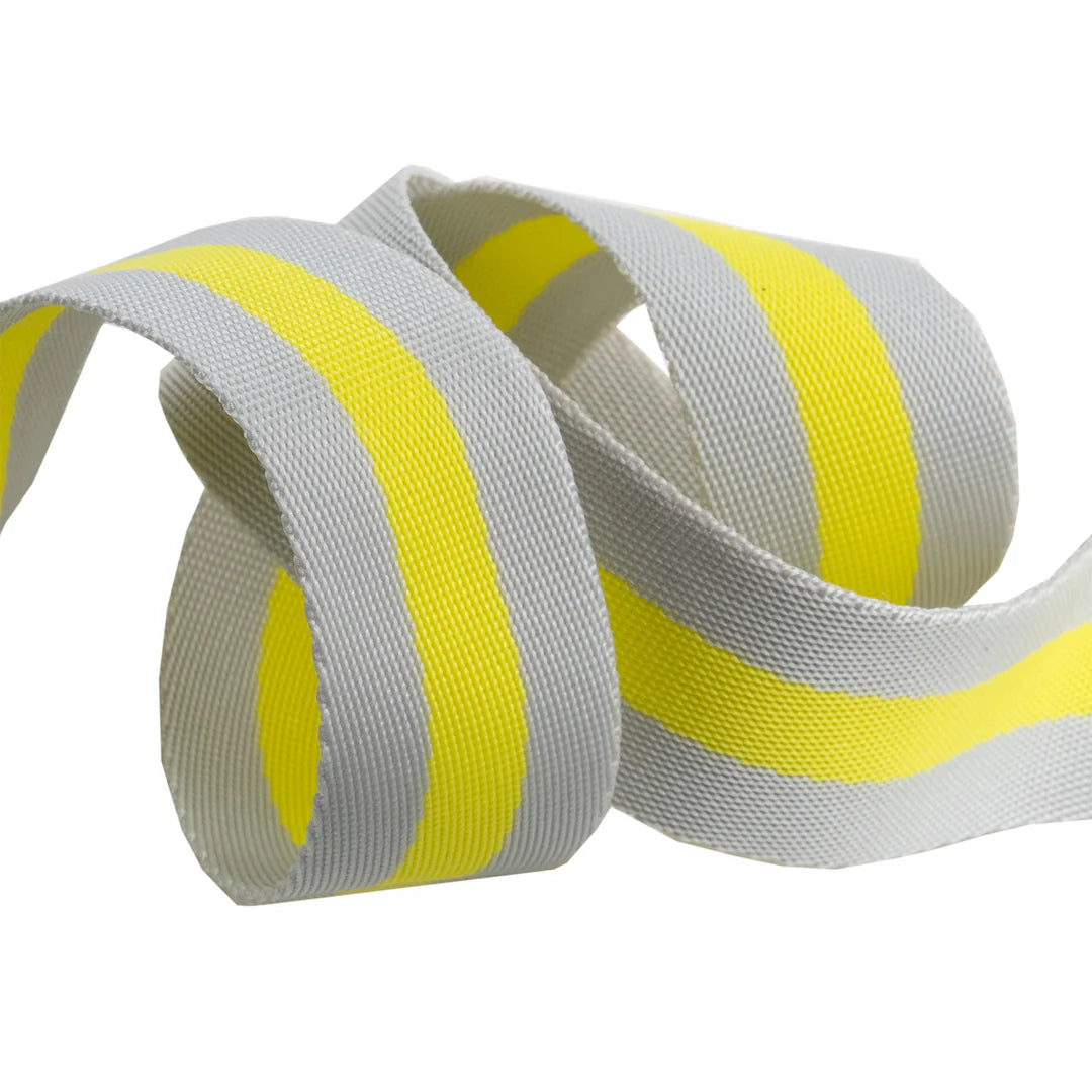 1 1/2" Tula Pink Webbing in Soft Grey & Neon