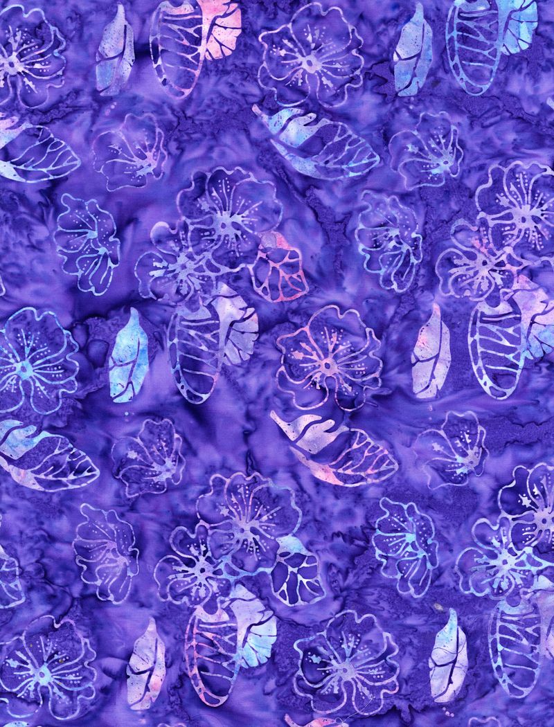 Dreamer / Tonga in Grape