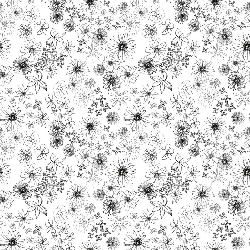 Sunset Meadow / Floral Linework in White