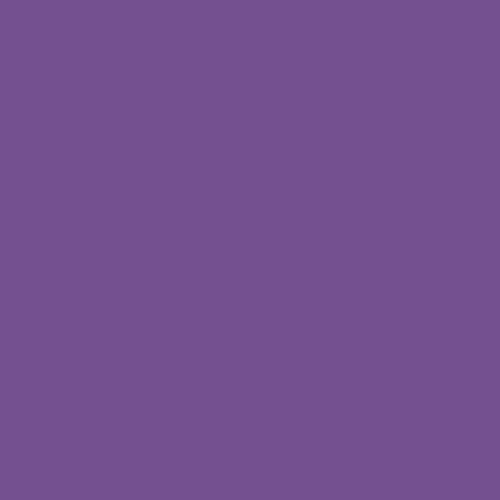 Pure Solids / Purple Pansy